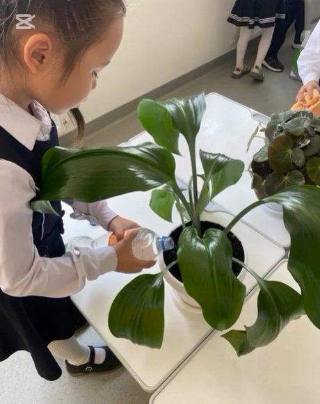 «Қамқор жобасы» аясында «Өскен өңір – Таза өлке – Мөлдір бұлақ» көгалдандыру акциясы өткізілді . Акцияға 7-8-10 сынып оқушылары қатысты.
